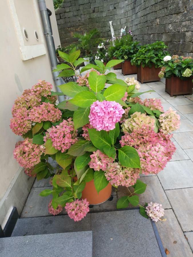 Ferienwohnungen Wilhelm Bad Schandau Extérieur photo