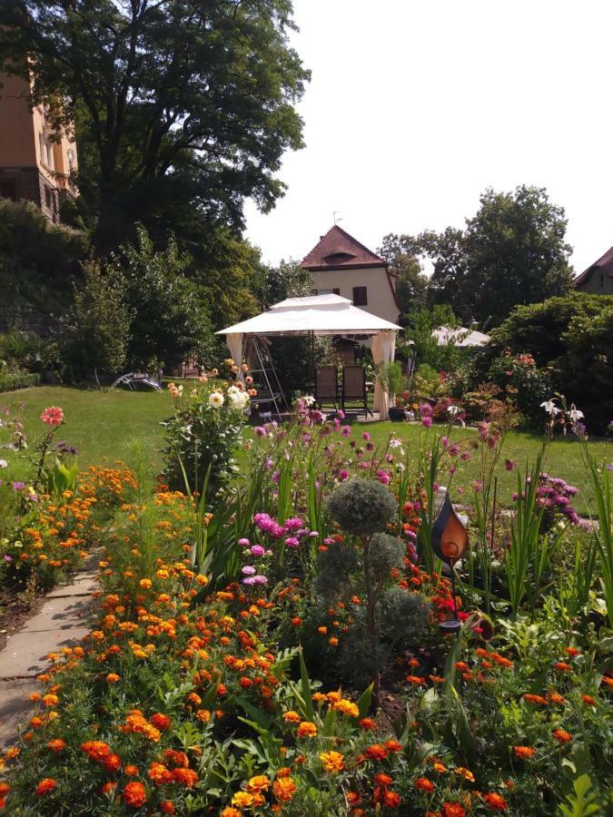 Ferienwohnungen Wilhelm Bad Schandau Extérieur photo
